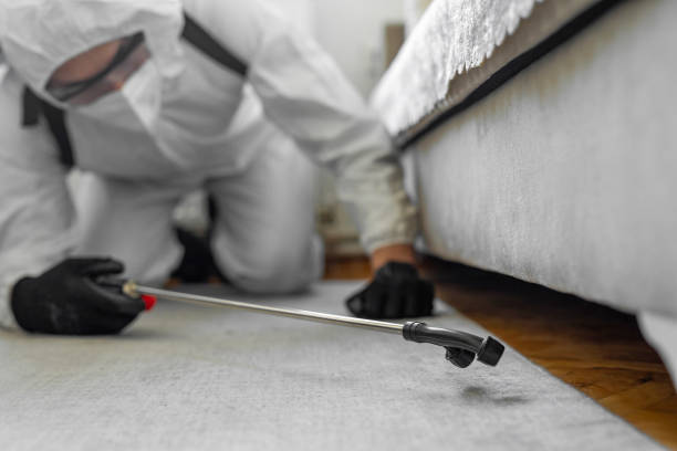 Professional Bed Bug Control technician working in Tenaha, TX