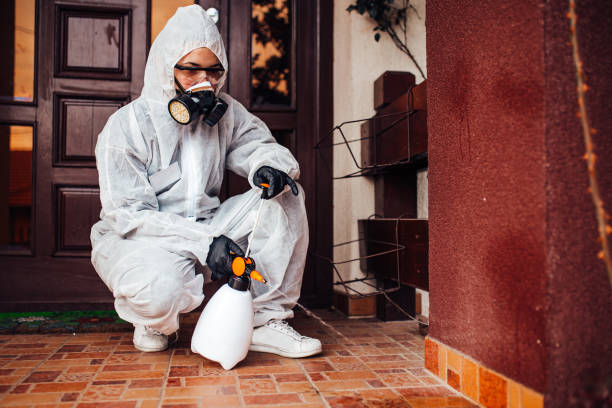 Reliable Bed Bug Control contractor in Tenaha, TX by Nex Pest Control